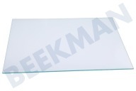 Zanussi Refrigerador 2249121043 Placa de vidrio completa adecuado para entre otros AGS58800S1, FRYSA30282343