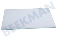 Progress  2249121035 Congelador de estante de vidrio adecuado para entre otros KOLDGRADER, ISANDE, IK2580BNR