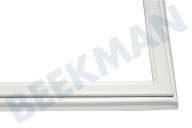 Gaggenau 216700, 00216700 Refrigerador Junta adecuado para entre otros KIM250EU, CK445001, 575x535mm adecuado para entre otros KIM250EU, CK445001,