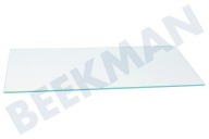 Zelmer 704341, 00704341 Refrigerador Placa de vidrio adecuado para entre otros KGV36EI3106, KG36ECL4115