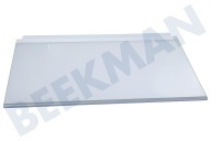 Siemens Refrigerador 674929, 00674929 Plato de vidrio adecuado para entre otros KI24LE6502, K1674X604