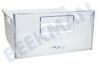 Faure 2426355372 Refrigerador Cajón congelador adecuado para entre otros ZRB329W, ZRB629W Transparente, Medio/Superior adecuado para entre otros ZRB329W, ZRB629W