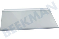 Siemens 667750, 00667750 Refrigerador Plato de vidrio adecuado para entre otros K5754X1, KI25FA65
