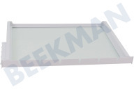 Neff 11028305 Refrigerador Plato de vidrio adecuado para entre otros KI51FSDD0, KIF81HDD0