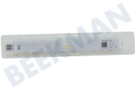 Pitsos 10024494 Refrigerador Iluminación LED adecuado para entre otros KGN33NL30, KG36NNL30N
