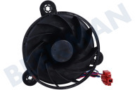 Candy 49123469  Turbina adecuado para entre otros CHSBSV5172XN, HHSBSO6174X completamente adecuado para entre otros CHSBSV5172XN, HHSBSO6174X