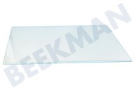 Beko 4615300500 Refrigerador Tabla de estante adecuado para entre otros CN228120, CS232020 Estante, suelto adecuado para entre otros CN228120, CS232020
