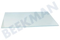 Grundig 4362722800 Refrigerador Placa de vidrio adecuado para entre otros SN140220, SS137020