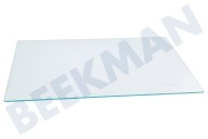 Gram 4362729100 Refrigerador Placa de vidrio adecuado para entre otros FN130930, FNE290E20