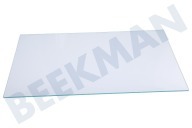 Beko Refrigerador 5770720100 Plato de vidrio adecuado para entre otros KSSE2620W, RCHE300K20W