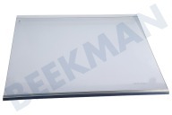 Thomson Refrigerador 4918521500 Placa de vidrio completa adecuado para entre otros GN163120X, 163120