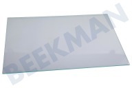Beko Refrigerador 4299893600 Plato de vidrio adecuado para entre otros SSE26006, SSE26026