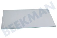Teka 4655591000 Refrigerador Plato de vidrio adecuado para entre otros KDSA2430WN, BLSA16020S, GSMI20330N