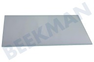 Teka 4629840500 Refrigerador Plato de vidrio adecuado para entre otros RBI6301LH, KD1440