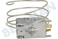 Friac 9002754085 Refrigerador Termostato adecuado para entre otros RDM6107, DSM1510i