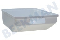 Candy 481244079184 Refrigerador Cajón verdura adecuado para entre otros ARG5811, ARG588 Blanco adecuado para entre otros ARG5811, ARG588