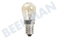 Ikea 481213418098  Lámpara adecuado para entre otros KR1883A2, WTE1611 15 vatios, E14 adecuado para entre otros KR1883A2, WTE1611