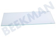 Etna Refrigerador 35879 Plato de vidrio adecuado para entre otros KK2224AP05, KK2174AP01