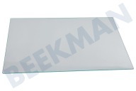 Pelgrim 563671 Refrigerador Plato de vidrio adecuado para entre otros PCS4178L, PCS3178L