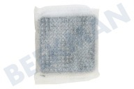 DA02-90106R Filtro adecuado para entre otros RSJ1KEMH, RSH7UNRS, RS7567BHCBC Filtro higiénico