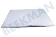 Samsung DA9719322A Refrigerador DA97-19322A Tapa de placa de vidrio adecuado para entre otros RS6GN8231S9 / EG