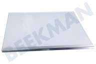 Samsung DA9719321A Refrigerador DA97-19321A Plato de vidrio adecuado para entre otros RS6GN8231S9 / EG