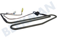 Resistencia adecuado para entre otros RSH5PTMH, RS7677FHCSL, RSH7ZNBP Elemento de descongelación