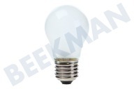 4713-001201 Lámpara adecuado para entre otros RL38HGIS1, RSH1DTPE1 Globo 40 vatios, E27