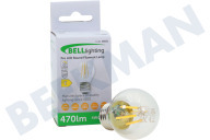 Alternatief 4713001201 4713-001201  Lámpara adecuado para entre otros RL38HGIS1, RSH1DTPE1 Globo 40 vatios, E27 adecuado para entre otros RL38HGIS1, RSH1DTPE1