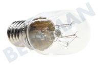 4713-000213 Lámpara adecuado para entre otros 75lm 15 vatios, 240 V E14