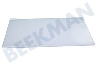Faure Refrigerador 2109403036 Placa de vidrio completa adecuado para entre otros ZRA40100WA, KS4021X