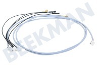 Dometic 241279640 Refrigerador Cable de conexión de encendido automático adecuado para entre otros RM7655L, RM7651L