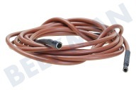 Electrolux loisirs 292788095  Cable de encendido adecuado para entre otros T250GE, RGE4000