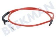 Unknown 295110571  Cable de encendido completo adecuado para entre otros RM4213LSC, RM6401LSC