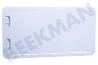 Dometic 9620009209 Refrigerador EWS300 Panel de invierno Blanco LS300 adecuado para entre otros LS300
