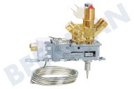 Sibir 241219020  Bloque de control de gas / eléctrico adecuado para entre otros RGE2100, RGE4000