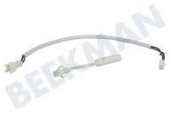 Sensor adecuado para entre otros CRE65, CRX0110, CRX0080 Sensor de temperatura