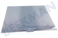 LG Refrigerador AHT74894101 Placa de vidrio completa adecuado para entre otros GWB459NLDF, GWB509NQUF