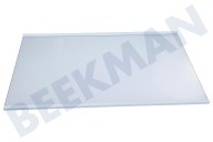 LG Refrigerador AHT74973903 Placa de vidrio completa adecuado para entre otros GWB459NQHM, GCB459NQJZ