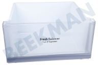 LG Refrigerador AJP74894405 Cajón de verduras Fresh Balancer adecuado para entre otros GCX247CSAZ, GCX247CSTZ