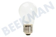 Lámpara adecuado para entre otros GCP227, GRL218AT, GRP209 40 vatios, 240 V E27 mate