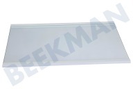 Inventum 30300900533 Refrigerador Plato de vidrio adecuado para entre otros KV1808R, KV1800NF