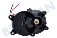 Dewalt NA408401  Motor adecuado para entre otros DCMST561, DCST922BE Conducir adecuado para entre otros DCMST561, DCST922BE