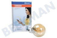 Osram 4058075174481  Lámpara Smart + Standard Gold E27 Regulable adecuado para entre otros E27 5.5 vatios, 600lm 2500K