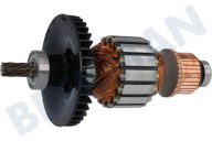 Dewalt N443398  Motor adecuado para entre otros DWS773, DWS774 ancla adecuado para entre otros DWS773, DWS774