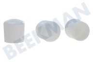 Deltafix 11757  Tapones adecuado para entre otros 8 piezas, 22 mm Cáscaras de pera blancas adecuado para entre otros 8 piezas, 22 mm