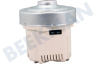Electrolux 140075168041 Aspiradora Motor adecuado para entre otros VX82-1-2MG, PD82-4MG