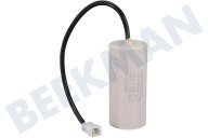 Nilfisk 128500148 Alta presión Condensador adecuado para entre otros P140.2, P150.2, P160.2, Premium 180, Premium 190 50uf adecuado para entre otros P140.2, P150.2, P160.2, Premium 180, Premium 190