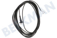 Nilfisk 1406800650 Aspiradora cable adecuado para entre otros GD111, Thor, VP300, VP600