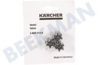Karcher 28845120  2.884-512.0 válvula adecuado para entre otros HDS995SXEU, FT700TSEU